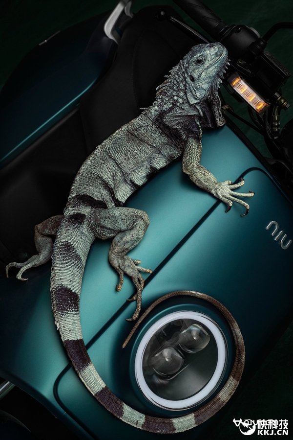 小牛電動車新版發(fā)布 價格真信仰！