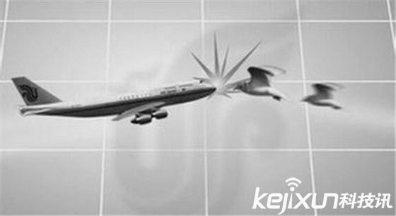 無(wú)人機(jī)多功能卻慘遭禁止？誤撞飛機(jī)留后患