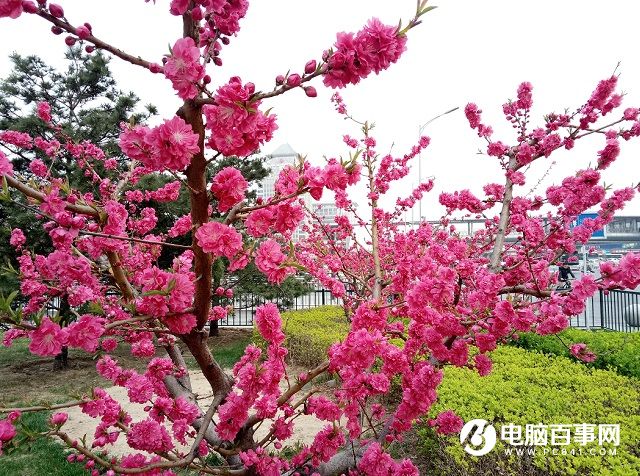 樣張差距不明顯 魅族PRO6與魅藍(lán)note3拍照對比