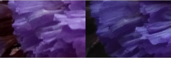 誰是百元機(jī)王者？魅藍(lán)3和紅米3對比評測