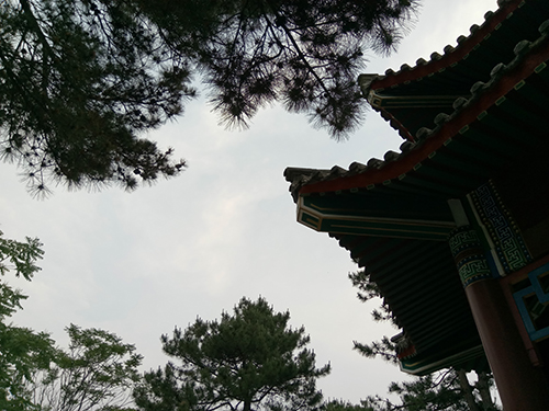 樂2和魅藍(lán)note3拍照樣張對比