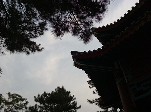 樂2和魅藍(lán)note3拍照樣張對比
