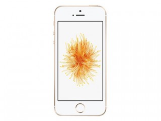 iPhoneSE怎么開啟兩步驗(yàn)證？蘋果iPhoneSE兩步驗(yàn)證開啟方法