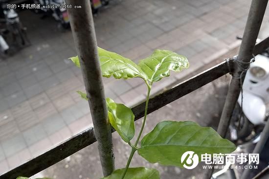 打造青年精品 中興V7 Max評(píng)測(cè)
