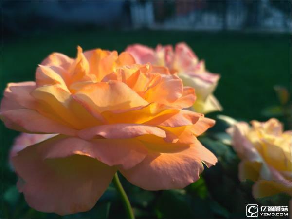 699元紅米3S深度評測：驍龍430、MIUI 8是亮點(diǎn)