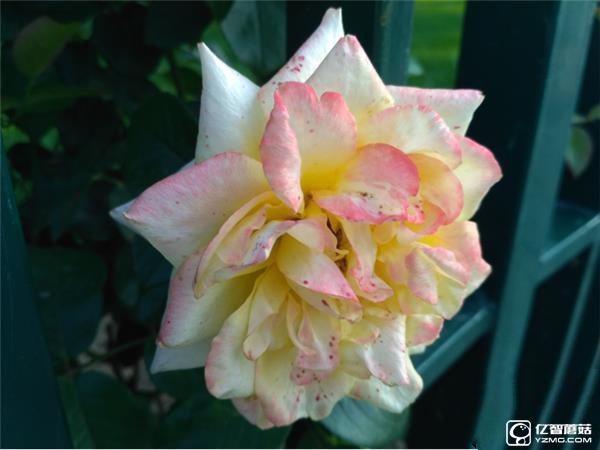 699元紅米3S深度評測：驍龍430、MIUI 8是亮點(diǎn)