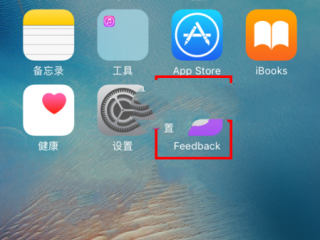 蘋果Feedback是什么？有什么用？怎么刪除？