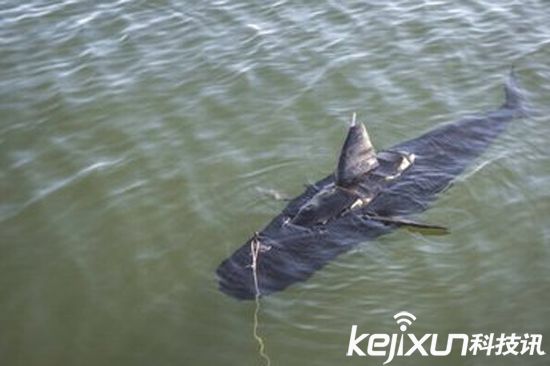 美國海軍研制水下拆彈機(jī)器人 還可維修海上鉆井平臺