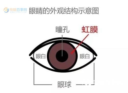 虹膜識別和眼紋識別哪個好？虹膜識別和眼紋識別的區別