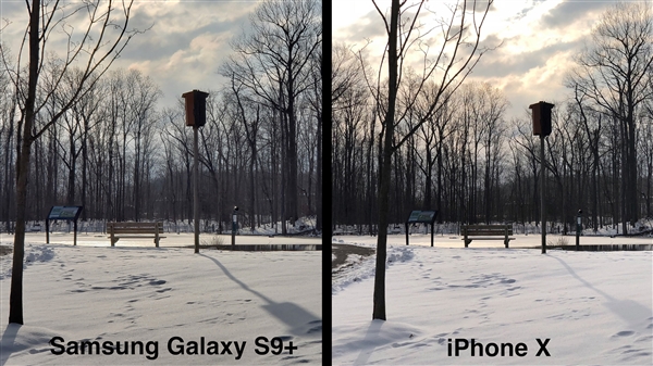 三星S9+/iPhone X拍照對比：誰才是手機拍照之王？