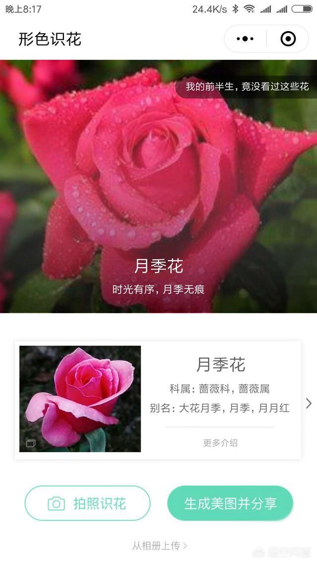 好玩的微信小程序有哪些？十款實用微信小程序推薦
