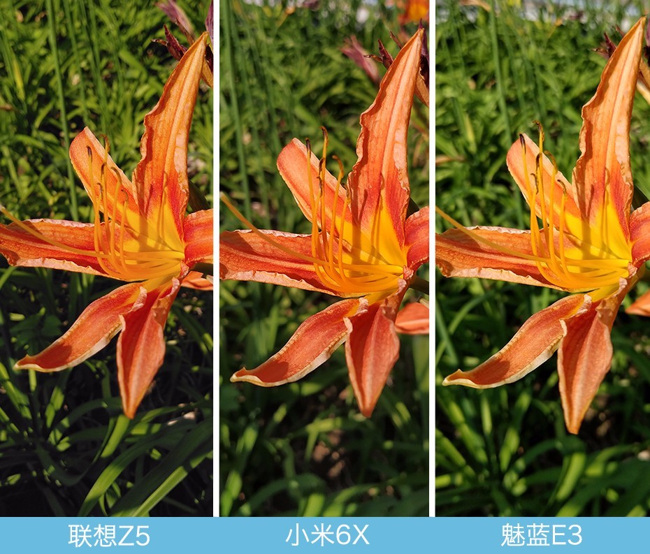 聯想Z5、小米6X、魅藍E3拍照對比評測 千元機相機對決