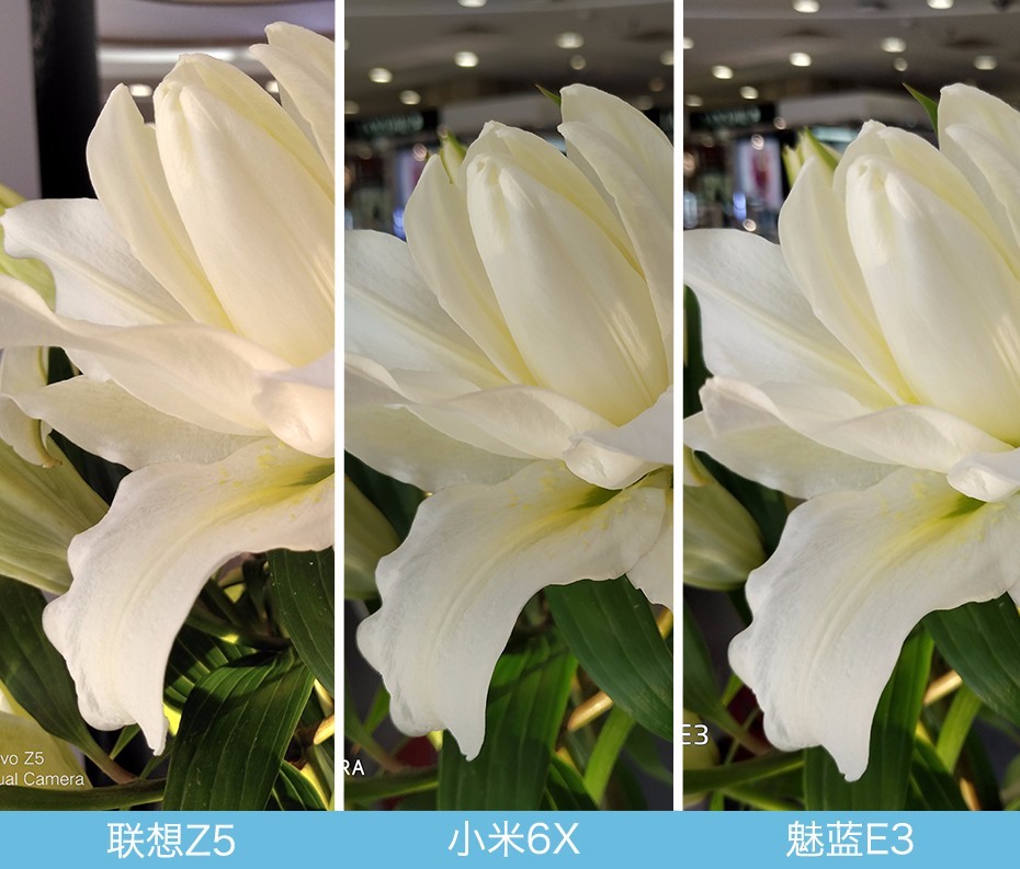 聯想Z5、小米6X、魅藍E3拍照對比評測 千元機相機對決