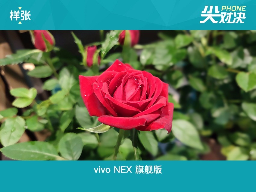 vivo NEX和iPhone X哪個(gè)好 蘋果iPhoneX對(duì)比vivoNex區(qū)別