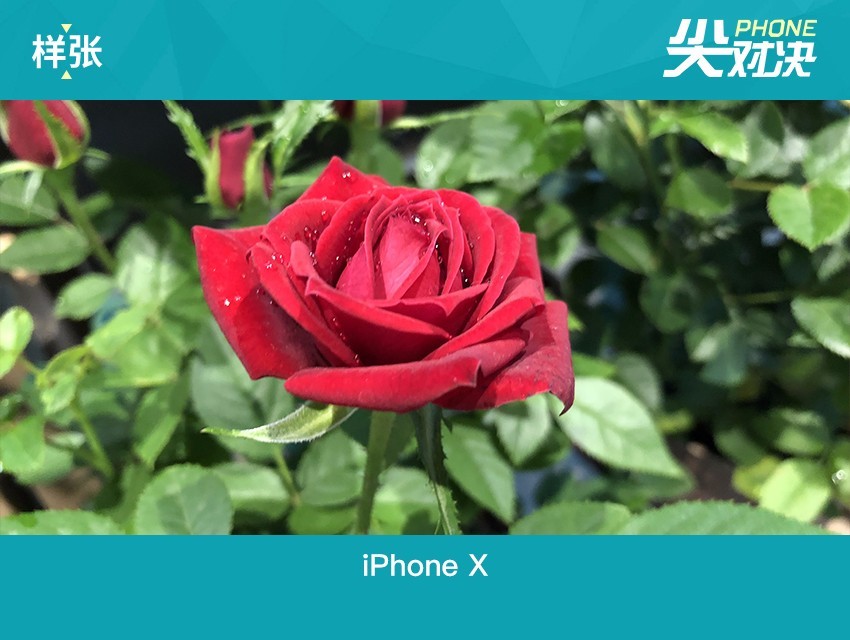vivo NEX和iPhone X哪個(gè)好 蘋果iPhoneX對(duì)比vivoNex區(qū)別